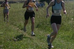 tab2006_00028