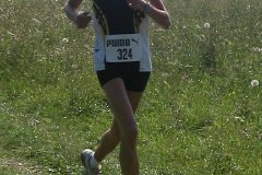 tab2006_00052