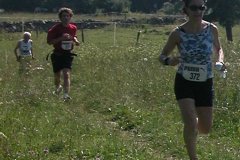 tab2006_00066