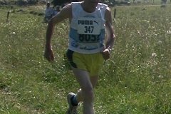 tab2006_00068