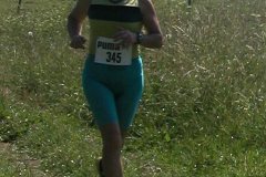 tab2006_00086