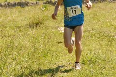 tab2007_00029