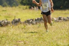 tab2007_00030