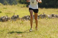 tab2007_00031