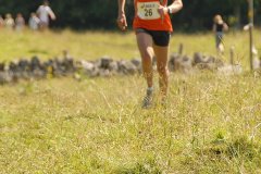 tab2007_00033