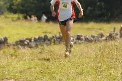 tab2007_00035