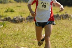 tab2007_00036