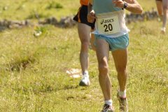 tab2007_00038