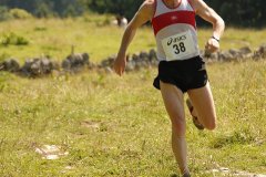 tab2007_00043