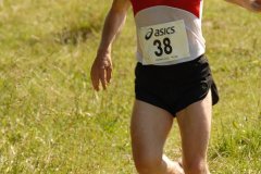 tab2007_00044