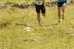 tab2007_00045