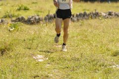 tab2007_00047