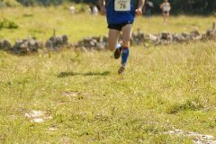 tab2007_00049