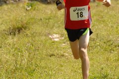 tab2007_00051