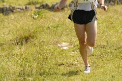 tab2007_00053