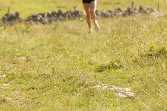 tab2007_00056