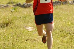 tab2007_00059