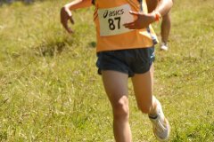 tab2007_00062