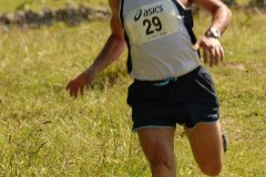 tab2007_00063
