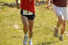 tab2007_00065