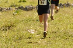 tab2007_00077