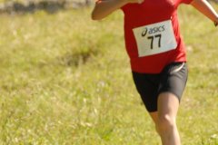 tab2007_00079
