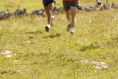 tab2007_00080