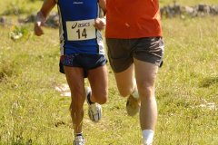 tab2007_00081