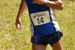tab2007_00082