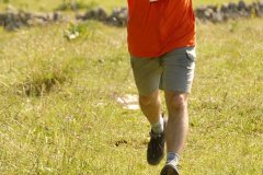 tab2007_00084
