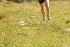 tab2007_00087