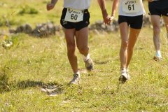 tab2007_00094