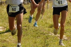 tab2007_00095
