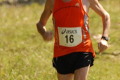 tab2007_00097