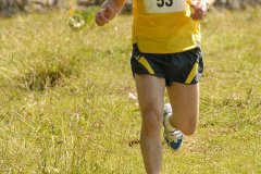 tab2007_00099