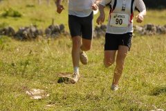 tab2007_00102