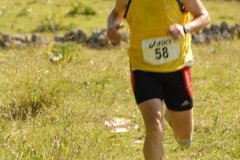 tab2007_00105