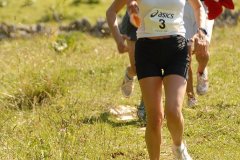 tab2007_00106