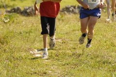 tab2007_00113