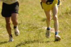tab2007_00115