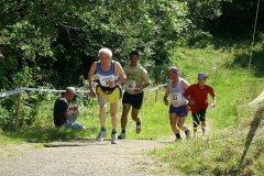 tab2007_00245