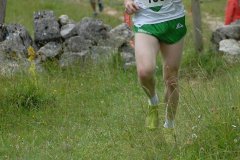 tab2008_00010