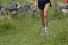tab2008_00015