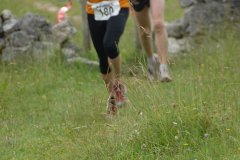 tab2008_00063