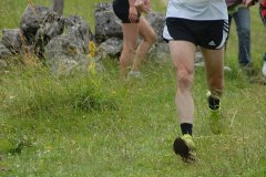 tab2008_00066