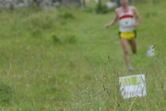tab2009_00020