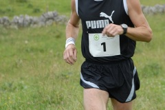 tab2009_00085