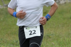 tab2009_00117