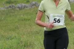 tab2009_00135