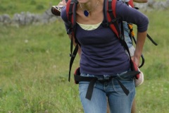 tab2009_00136